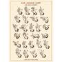 Sign Language Chart Flat Wrap