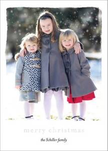 Foil Stamped Chic Frame Merry Christmas Holiday Photo Card