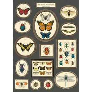 Natural History Butterfly And Insects Flat Wrap