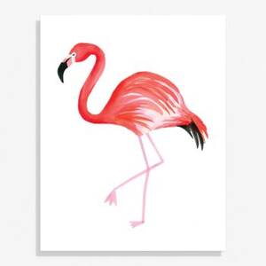 Flamingo Large Art Print