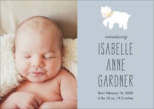 Little Lamb Birth Announcement