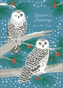 Snowy Owls Holiday Card