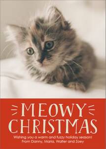 Meowy Christmas Holiday Photo Card